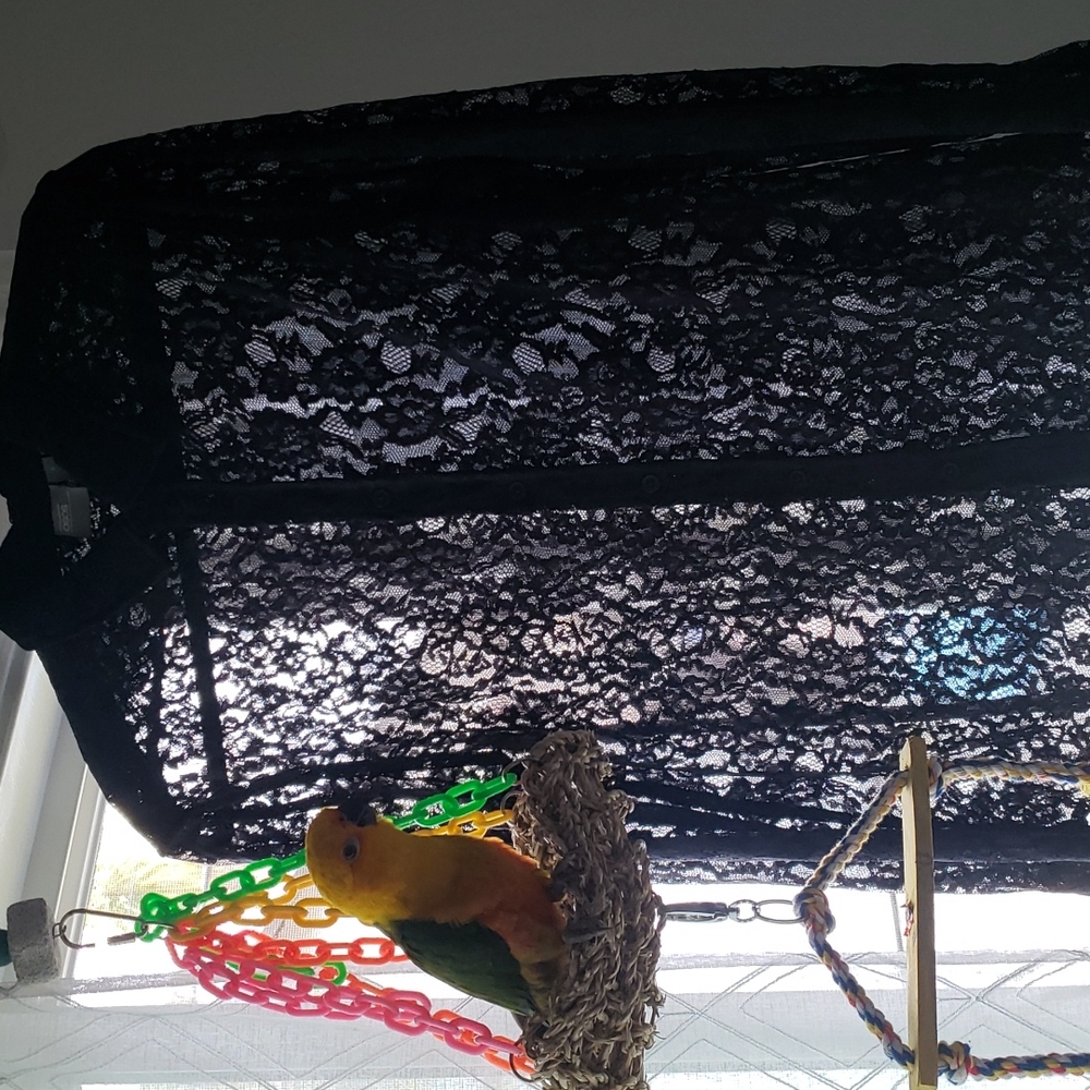 Black Floral Lace button down Long sleeve shirt